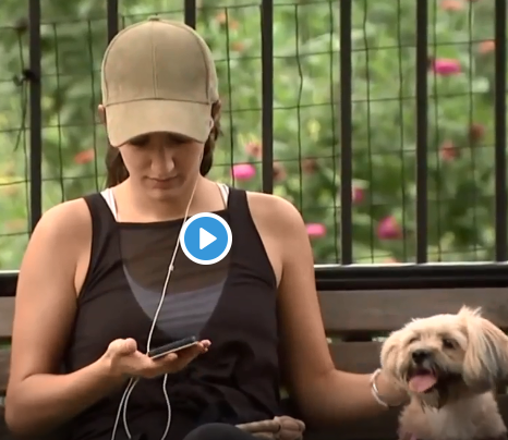 Dogs Get Depressed When Owners Overuse Smartphones