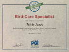 Bird Care certificate