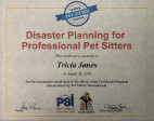 Disaster Planning certificate