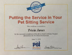 Service certificate